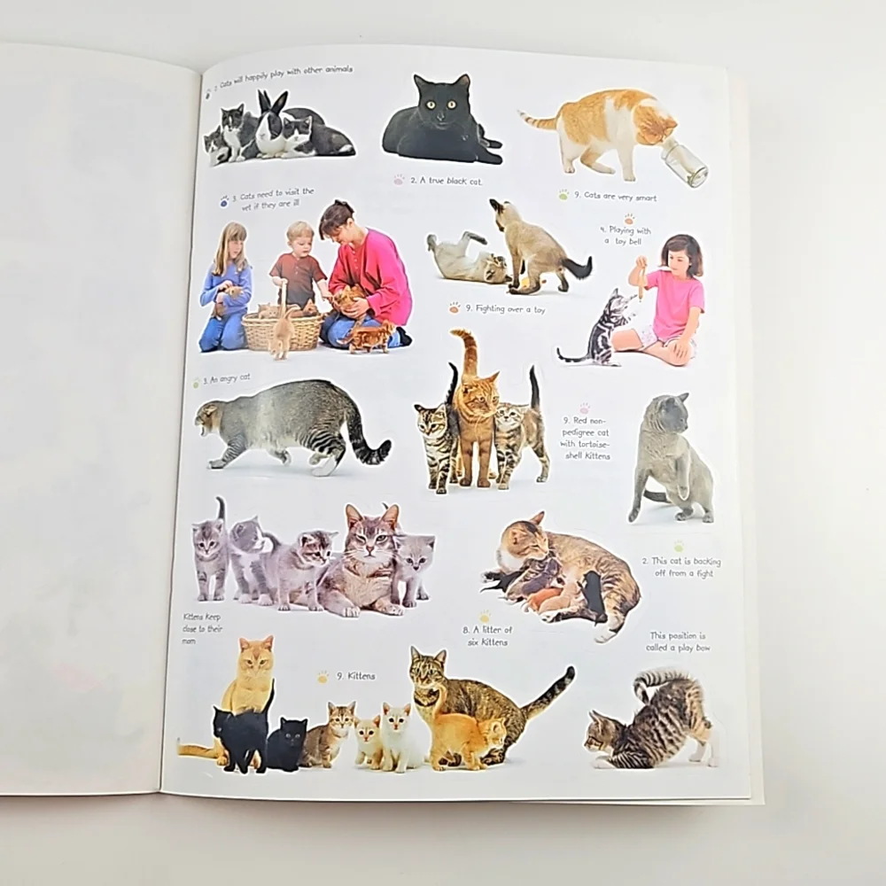 Cats & Kittens Sticker Activity Book